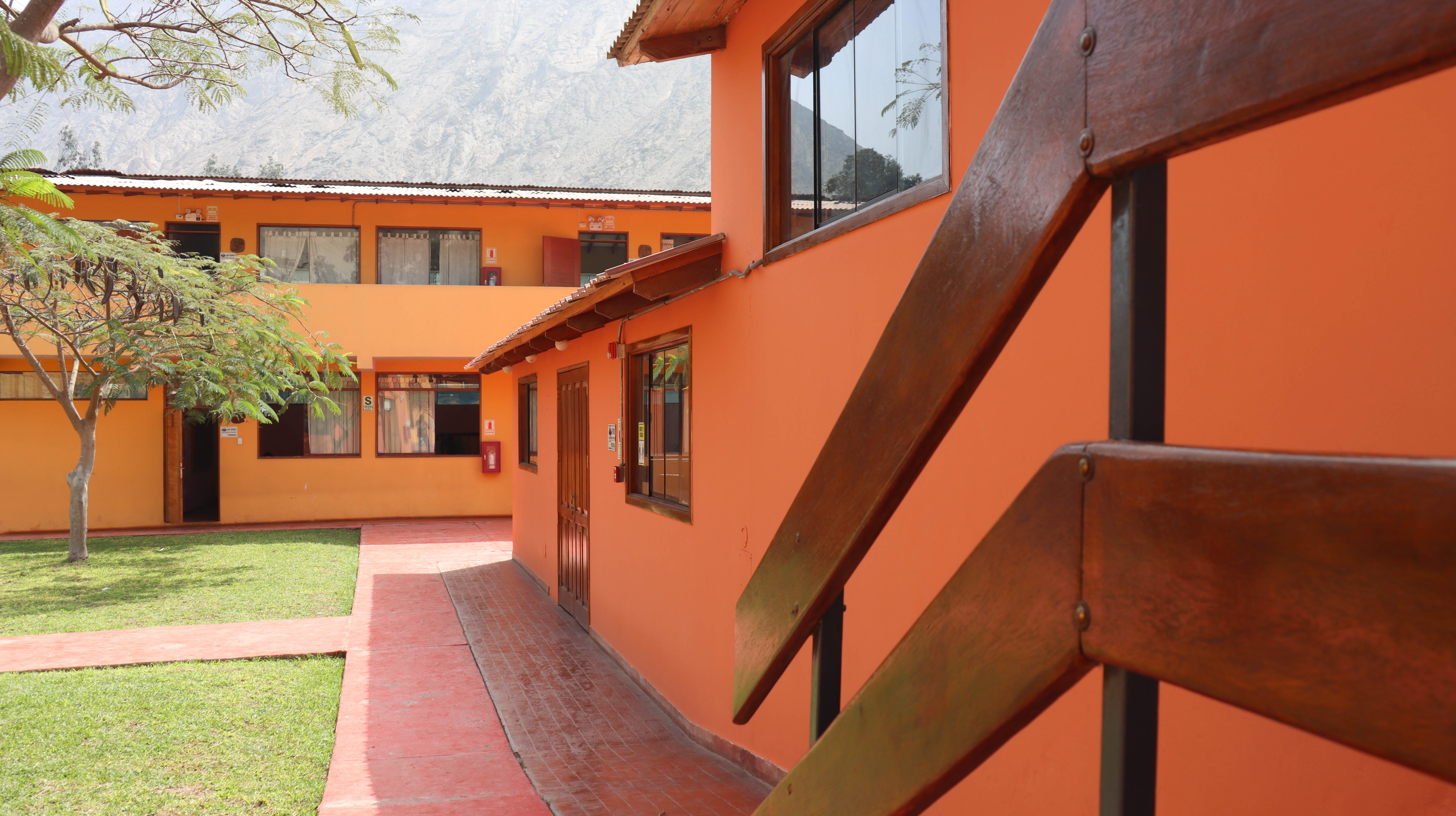 Educación Primaria